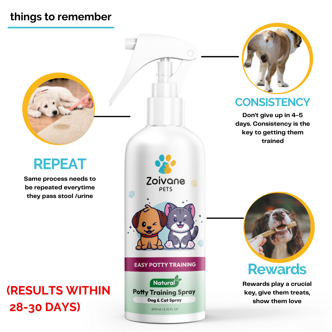 Potty Training Spray for Dogs & Cats 200ml