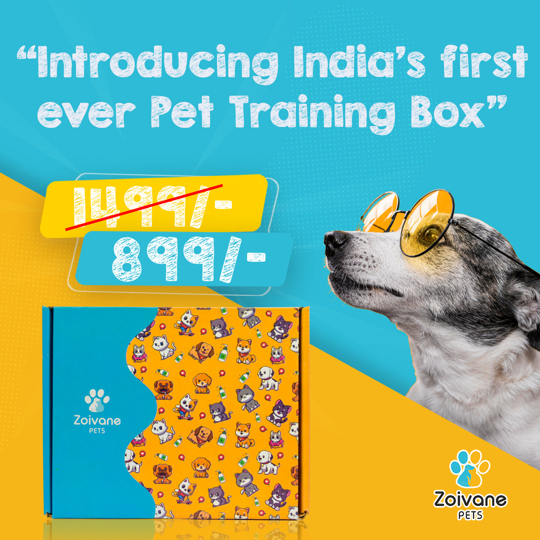 Pet Training Box