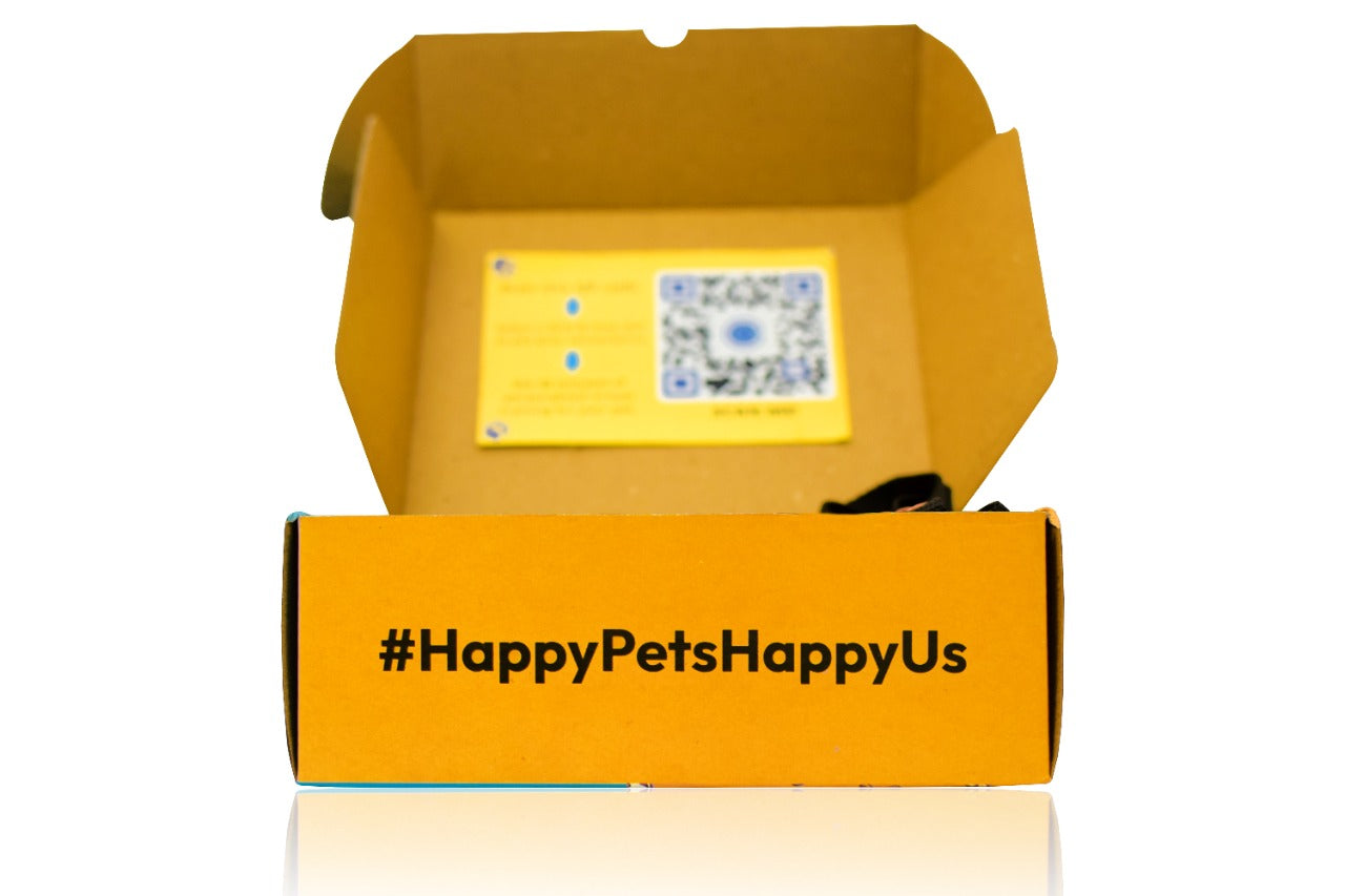 Pet Training Box