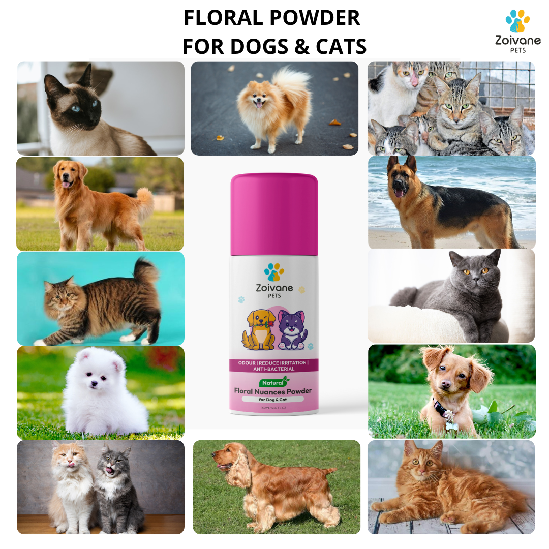 Floral Powder for Dogs – Neem, Rose & Marigold Powder for Natural Skin Care, Odor Control & Coat Freshness