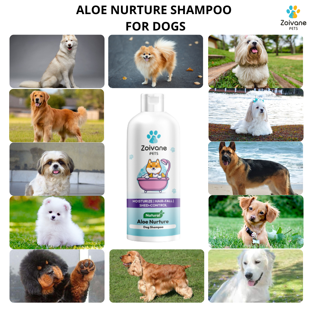 Zoivane Aloe Vera Dog Shampoo for Hair Fall | Natural Shedding Solution