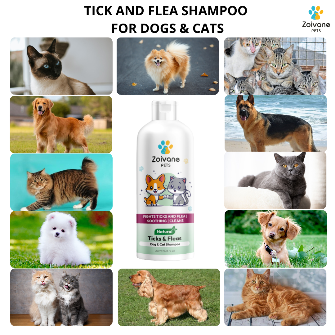 Tick & Fleas Dog & Cat Shampoo